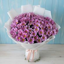 Букет цветов из:  Хризантемы #REPLACE_PRED# Дальнереченске