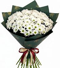 Букет цветов из:  Хризантемы #REPLACE_PRED# Дальнереченске