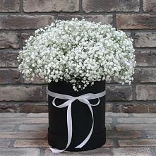 Цветочная композиция из Гипсофила в шляпной коробке #REPLACE_PRED# Дальнереченске