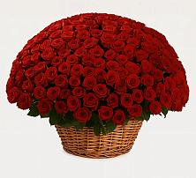 Премиум букет из: Розы #REPLACE_PRED# Дальнереченске